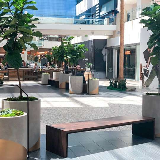 Some Clients May Already Have Plants in Place