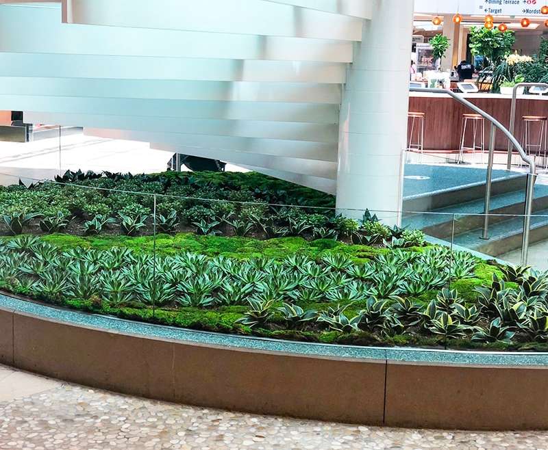 Mall Plants