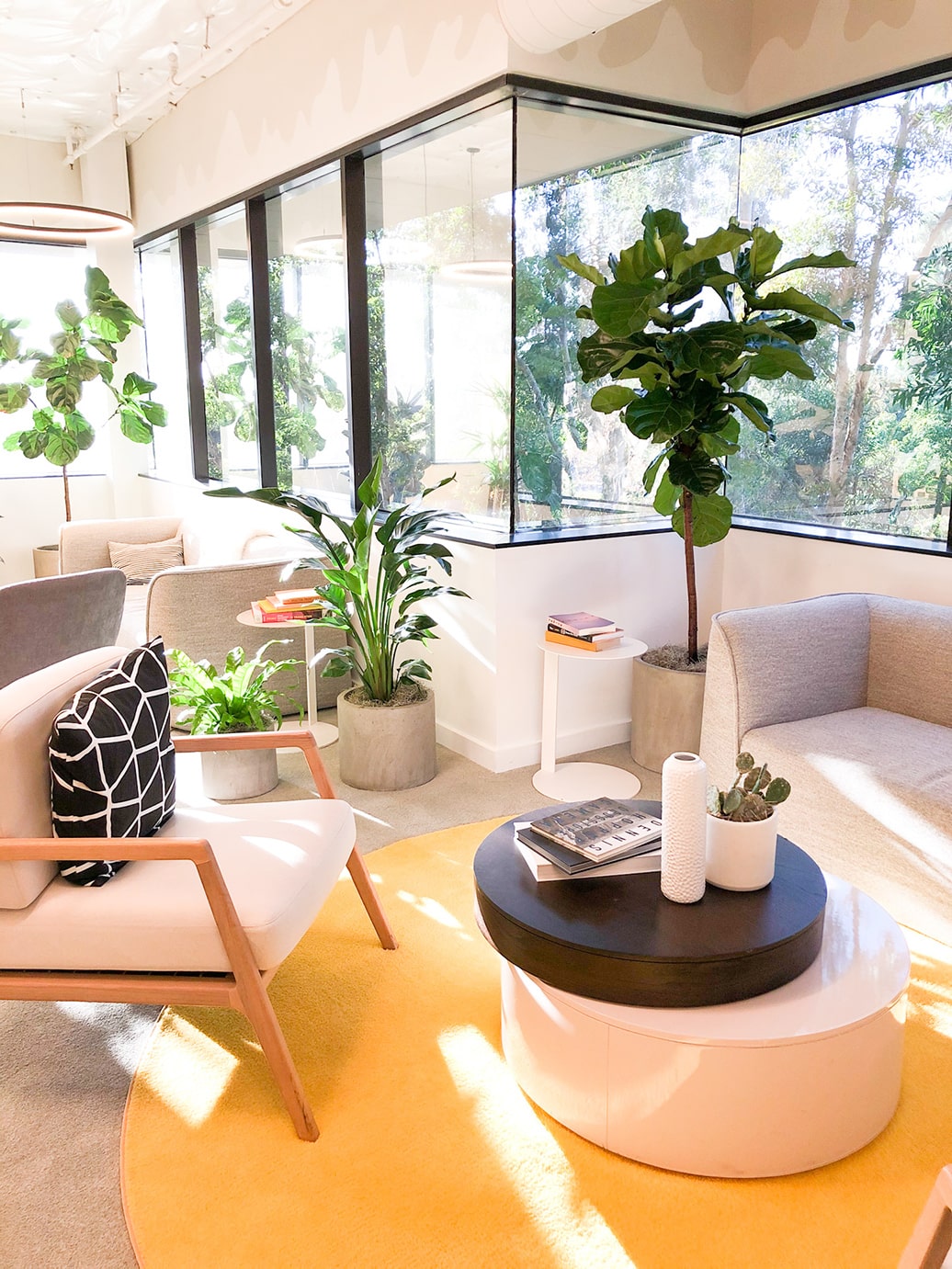 office plant design orange county california